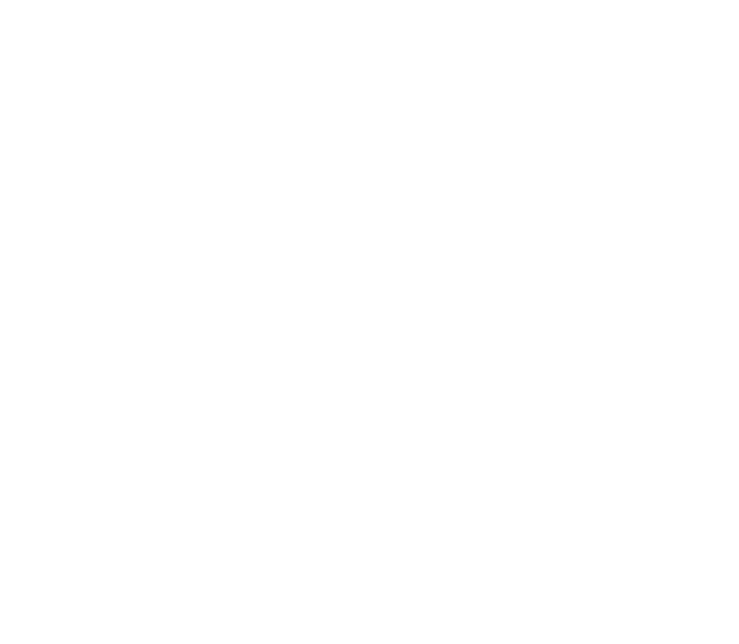 technische Details BiAxis QS PICO NdYAG Copyright by HLS 2025